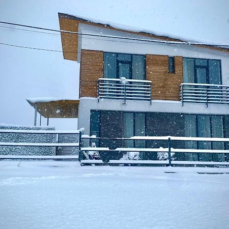 Cottage Marta Sadgeri Боржоми Екстериор снимка