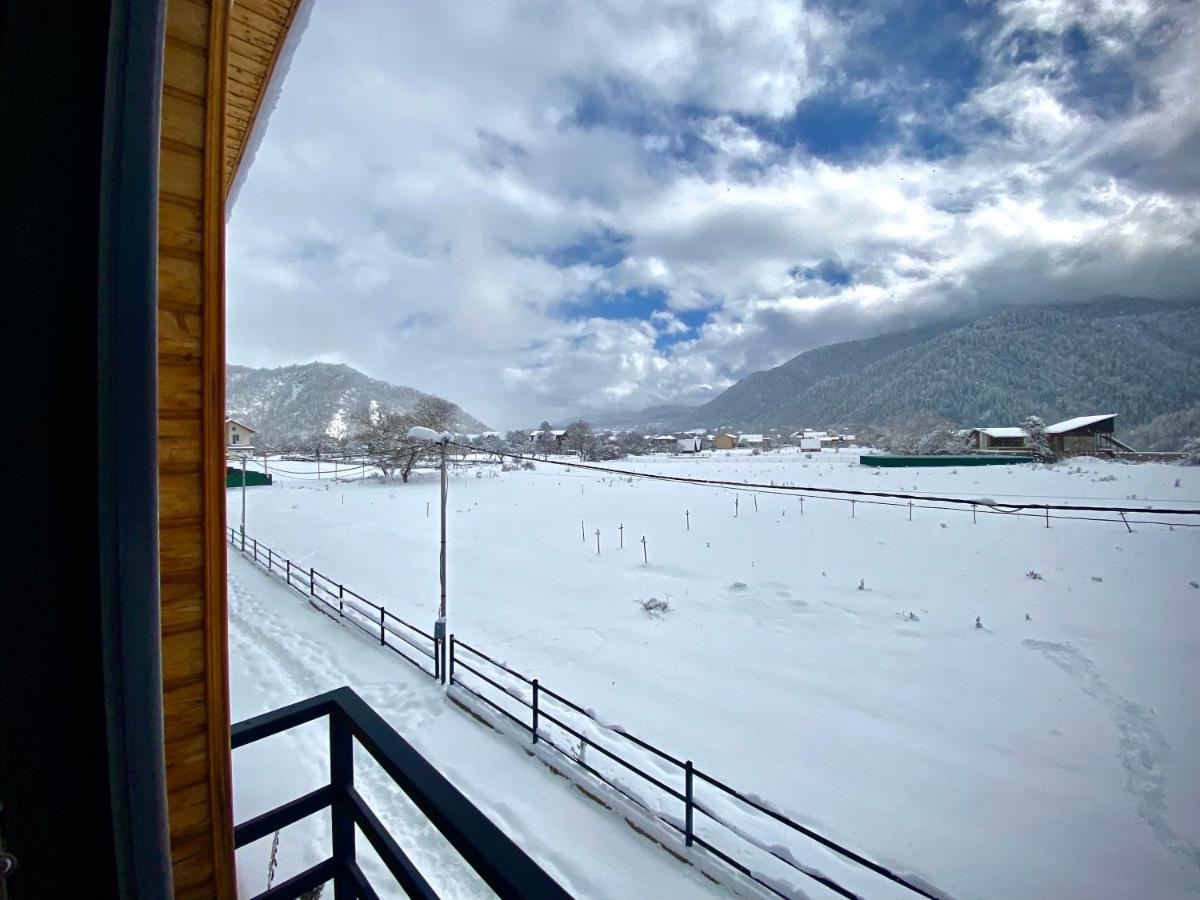 Cottage Marta Sadgeri Боржоми Екстериор снимка