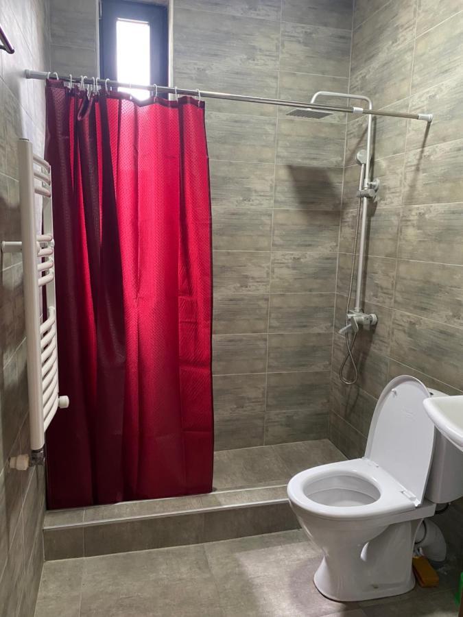 Cottage Marta Sadgeri Боржоми Екстериор снимка